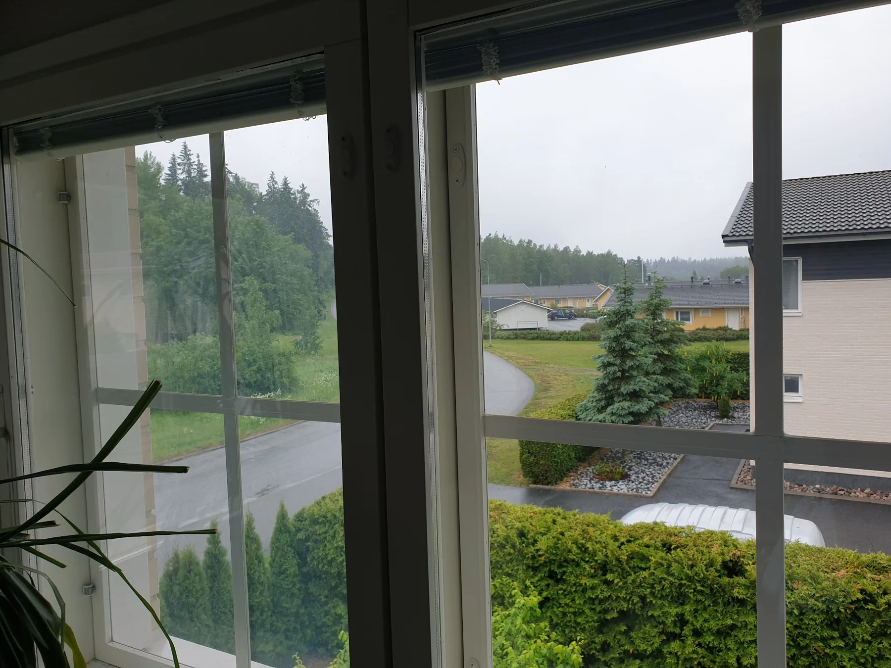 Puhtaaksi pesty ikkuna ja kirkas näkymä